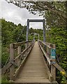 NH8922 : Ellan Footbridge by valenta