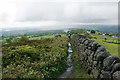 SJ8657 : The Gritstone Trail near Mow Cop by Bill Boaden