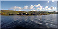 NG2449 : Seals hauled out on a skerry in Loch Dunvegan by Andy Waddington