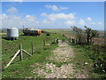 SY6386 : South Dorset Ridgeway near Dorchester by Malc McDonald