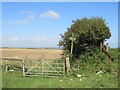 SY6486 : Public bridleways near Dorchester by Malc McDonald