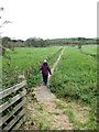 NX7660 : Boardwalk south of Carlingwark Loch by Oliver Dixon