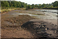 SX8972 : Inlet, Teign estuary by Derek Harper