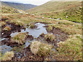 NN4488 : Bog, Allt Coire Ardair by Mick Garratt