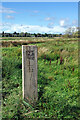 SJ9123 : Doxey Marshes by Stephen McKay