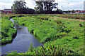 SJ9123 : River Sow, Doxey Marshes by Stephen McKay