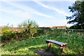 NZ0646 : Colin and Gavin's bench beside the Waskerley Way by Trevor Littlewood