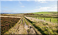 NZ0746 : Moorland beside rough road by Trevor Littlewood