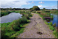 SJ9024 : Doxey Marshes by Stephen McKay