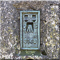 J0220 : Flush Bracket, Slieve Gullion Triangulation Pillar by Rossographer