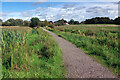 SJ9024 : Doxey Marshes by Stephen McKay