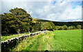 SD7187 : Titled path to the River Dee by Andy Waddington