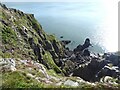 NX8248 : Sea cliffs below Balcary Hill by Oliver Dixon