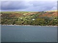 NX0571 : Loch Ryan shore and Laight Moor by Gerald England