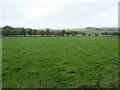 SK0252 : Hedge reinforced with a fence, south of Ladymeadows Farm by Christine Johnstone