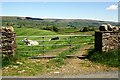 SD9088 : Field gateway and field track on NW side of High Lane by Luke Shaw