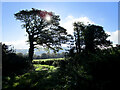 SJ9792 : Footpath to Botham's Hall by Stephen Burton