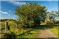 SK9670 : A mysterious opening in the perimeter fence, Swanpool, Lincoln by Oliver Mills