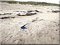 NZ2796 : A strange bit of flotsam on Druridge Beach by Oliver Dixon