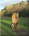 SE2954 : Carved throne, Valley Gardens by Derek Harper