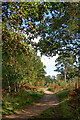 SO8074 : Bridleway on the Devil's Spittleful Nature Reserve, Worcestershire by Roger  D Kidd