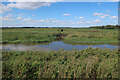 TL5088 : New Bedford River and Ouse Washes by Hugh Venables