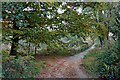 SO8074 : Bridleway in the Devil's Spittleful Nature Reserve in Worcestershire by Roger  D Kidd