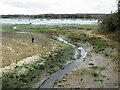 SZ5192 : Tidal channel near Whippingham by Malc McDonald