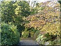 ST3087 : Belle Vue Park, Autumn 2020 (3) by Robin Drayton