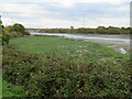 SZ5090 : Medina estuary near Newport by Malc McDonald