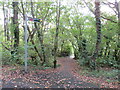 SZ5093 : Public footpath near Cowes by Malc McDonald