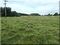 SJ9924 : Pasturefields saltmarsh, west of the Trent & Mersey Canal by Christine Johnstone