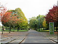 TQ3377 : Autumn colours in Burgess Park by Malc McDonald