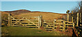 NT9516 : Gate on track to Linhope Spout by Derek Harper