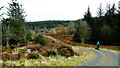 NZ0228 : Hamsterley Forest track crossing Acton Beck by Andy Waddington