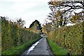 TM0364 : Haughley Green: Looking towards Rectory Road from Rowells Lane by Michael Garlick