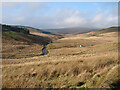  : Afon Gwy flows down from its source on the Plynlimon range by John Lucas