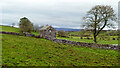 NY7111 : Field barn by Water Houses by Andy Waddington