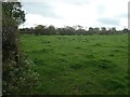 SK0334 : Grass field, west side of Hothill Lane by Christine Johnstone