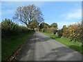 SJ9834 : Road heading north-west to Stone Heath by Christine Johnstone