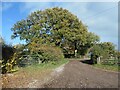 SJ9735 : Public footpaths on farm access tracks by Christine Johnstone