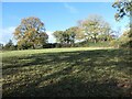 SJ9735 : Field south-east of Stone Heath Farm by Christine Johnstone