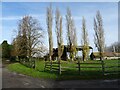 SO8125 : Poplar trees and Dutch barn by Philip Halling