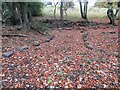 NZ1554 : Possible remains of a Former Settlement by Les Hull