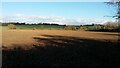 SK4024 : Long shadows on a bare field, north-east of Wilson by Christine Johnstone