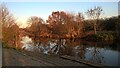 TL1798 : Autumn scene at Thorpe Meadows by Paul Bryan