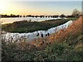 TL5392 : Flood water next to Wash Road, Welney - The Ouse Washes by Richard Humphrey