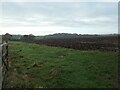 SE3647 : Recently ploughed field, north of Sicklinghall House by Christine Johnstone