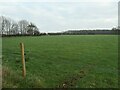 SE3647 : Field with an electric fence, east of Longlands Lane by Christine Johnstone