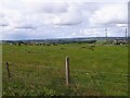 NZ1551 : Grazing fields near Hanging Stone by Robert Graham